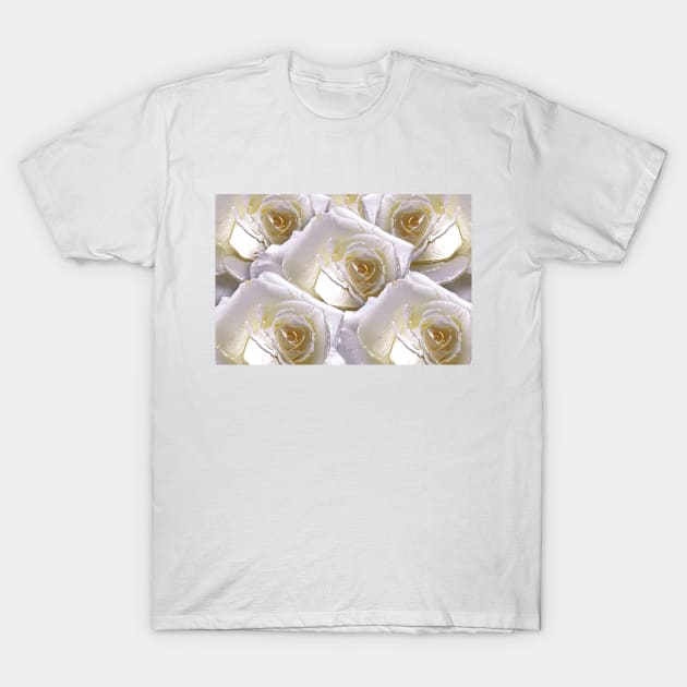 3d rendering White Rose T-Shirt by mavicfe